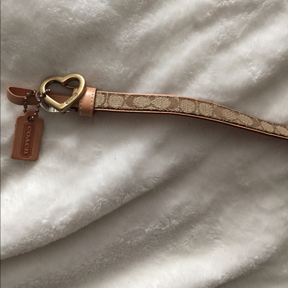 Coach belt - Picture 1 of 5